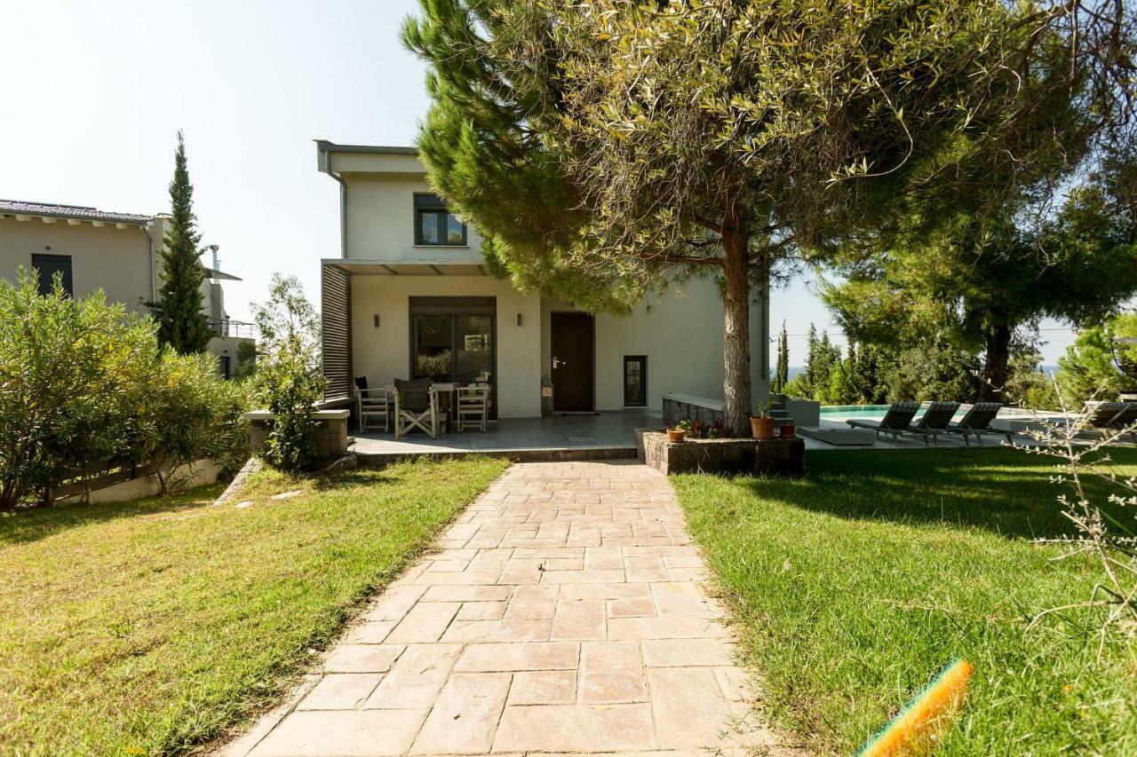 Olivia Estate Villa With Private Swimming Pool Elia Nikitis Ngoại thất bức ảnh